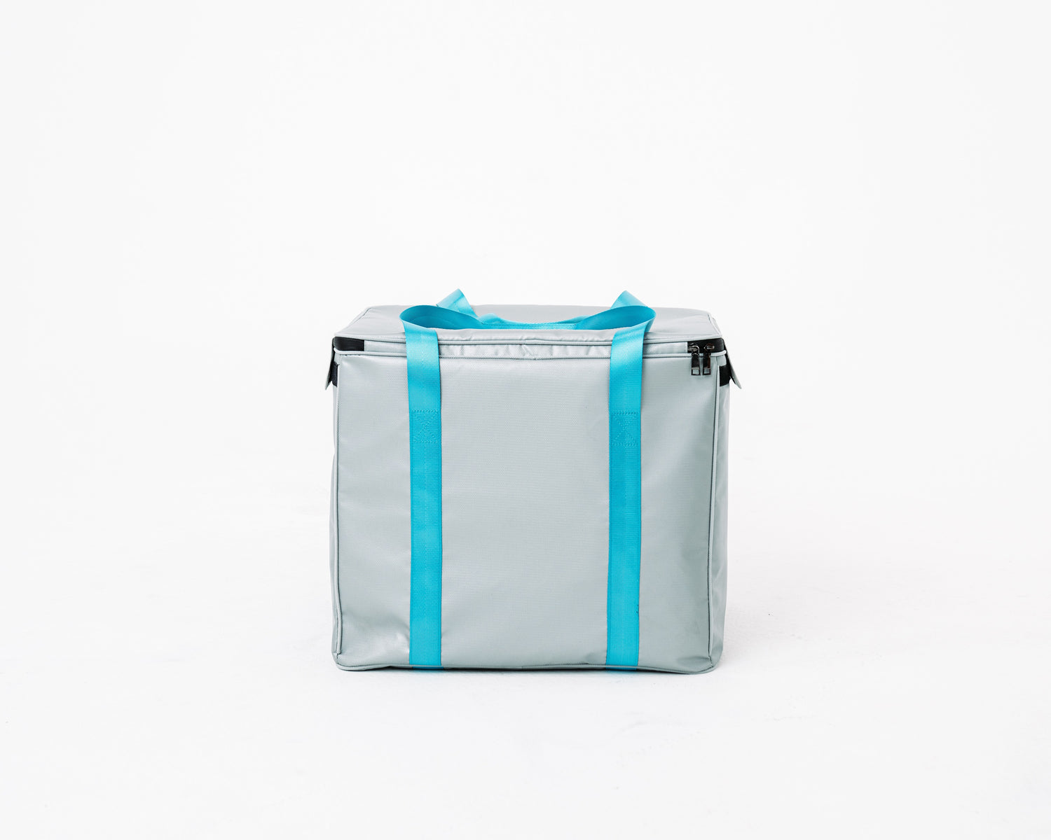 Battery Fire Bag
